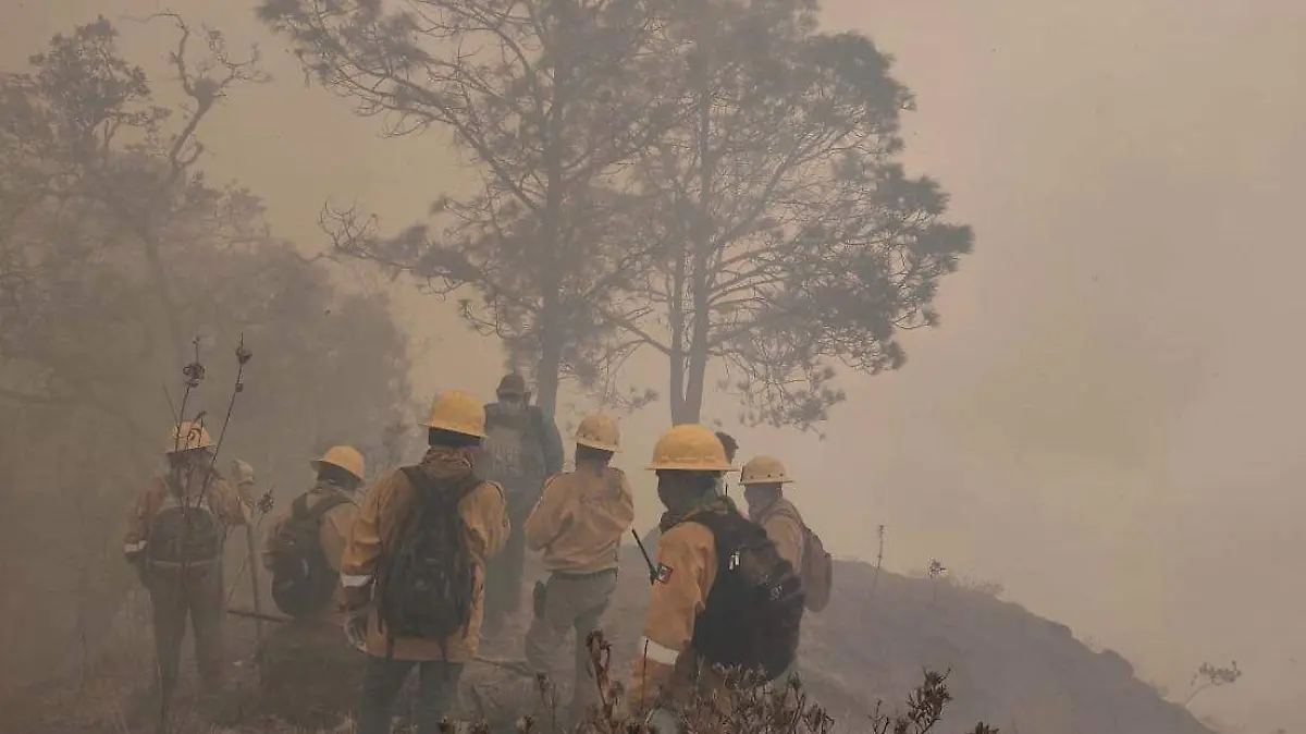 Incendio forestal en huitzilac-2024-archivo